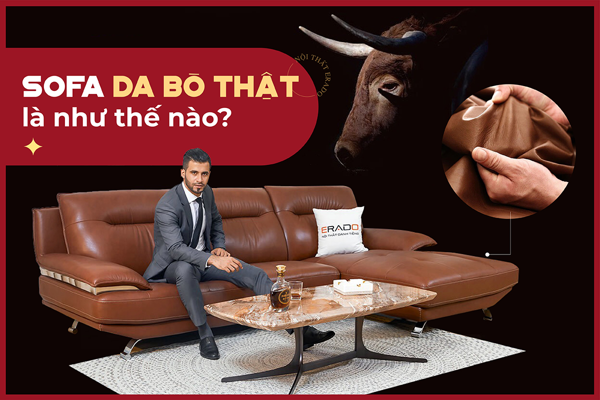 Sofa da bò thật nhập khẩu ERADO - Thế hệ sofa phòng khách đẹp và sang trọng hàng đầu