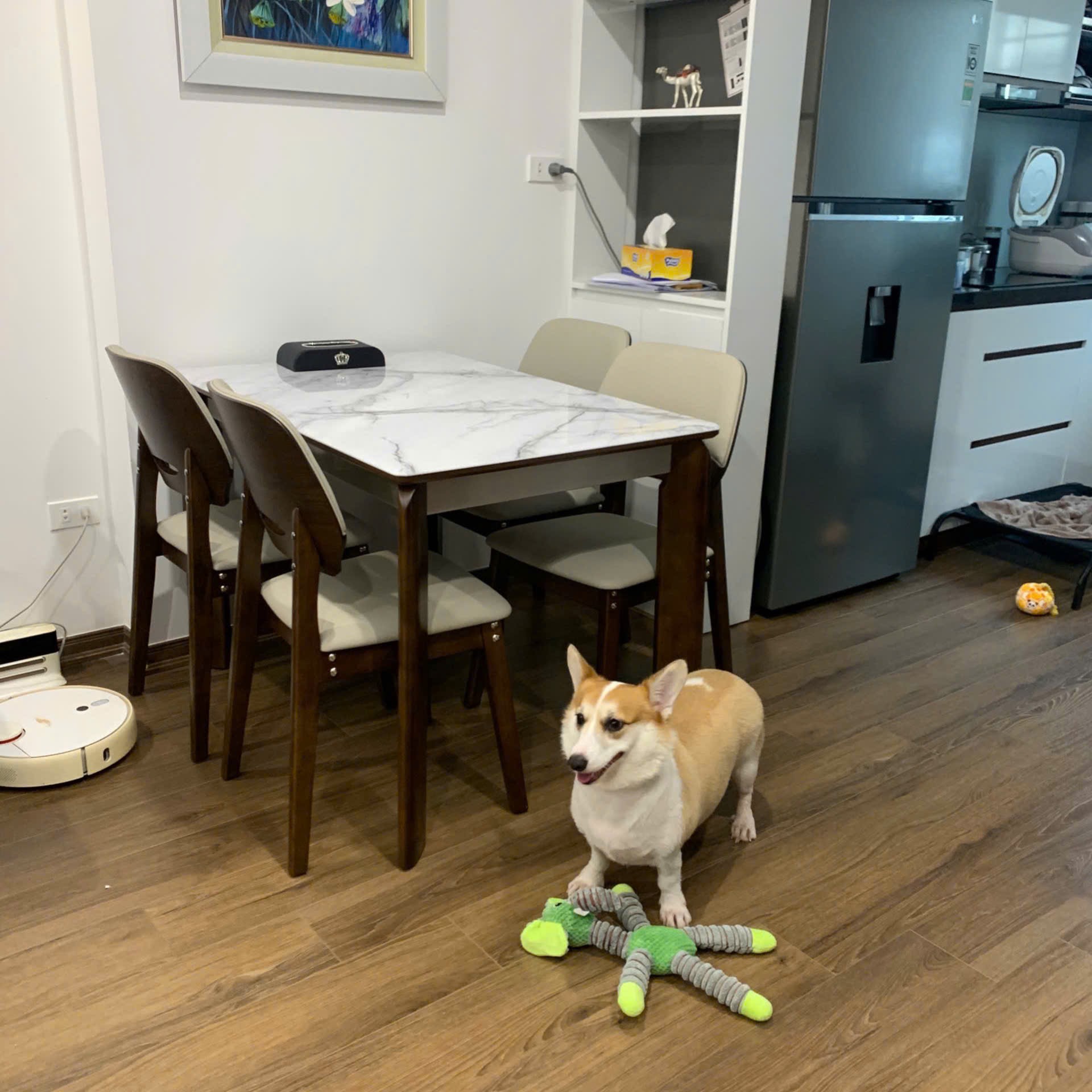 ERADO BÀN GIAO THÀNH CÔNG BỘ BÀN ĂN 4 GHẾ HIỆN ĐẠI CHO GIA ĐÌNH CHỊ HƯƠNG Ở DƯƠNG NỘI