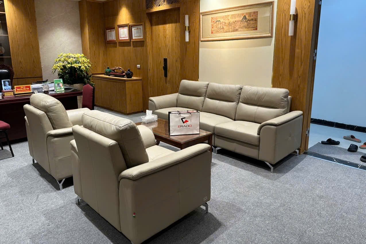 ERADO BÀN GIAO THÀNH CÔNG BỘ SOFA NHẬP KHẨU CHO ANH TRƯỜNG Ở KIM MÃ