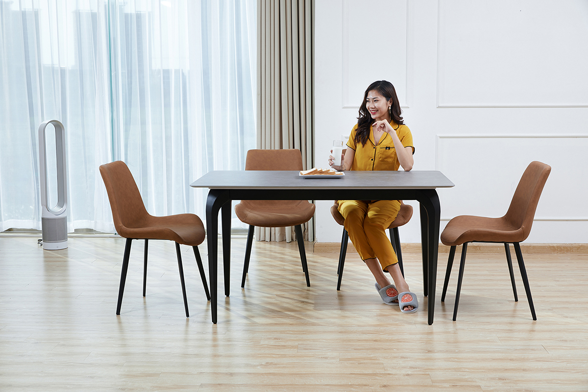 Bộ bàn ghế ăn mã FA075