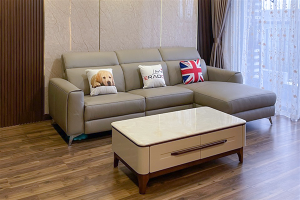 Phòng khách hiện đại với sofa da thật nâng chân và bàn trà ERADO