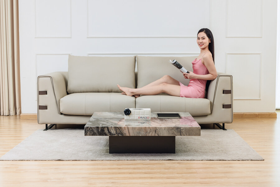 Mẫu sofa đẹp NV339